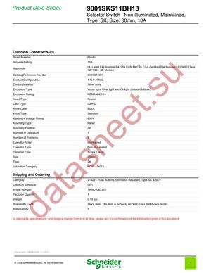 9001SKS11BH13 datasheet  